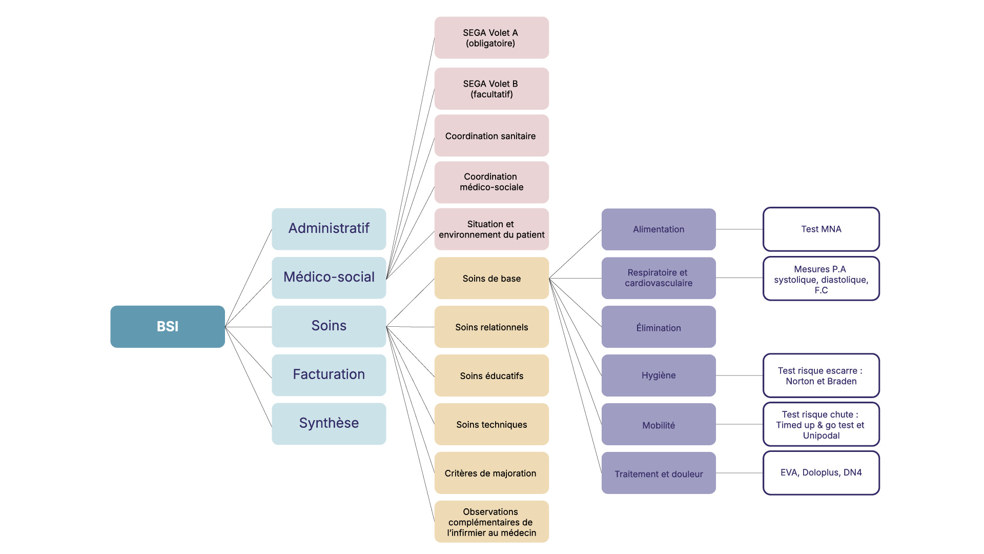 Schéma des 5 volets du BSI