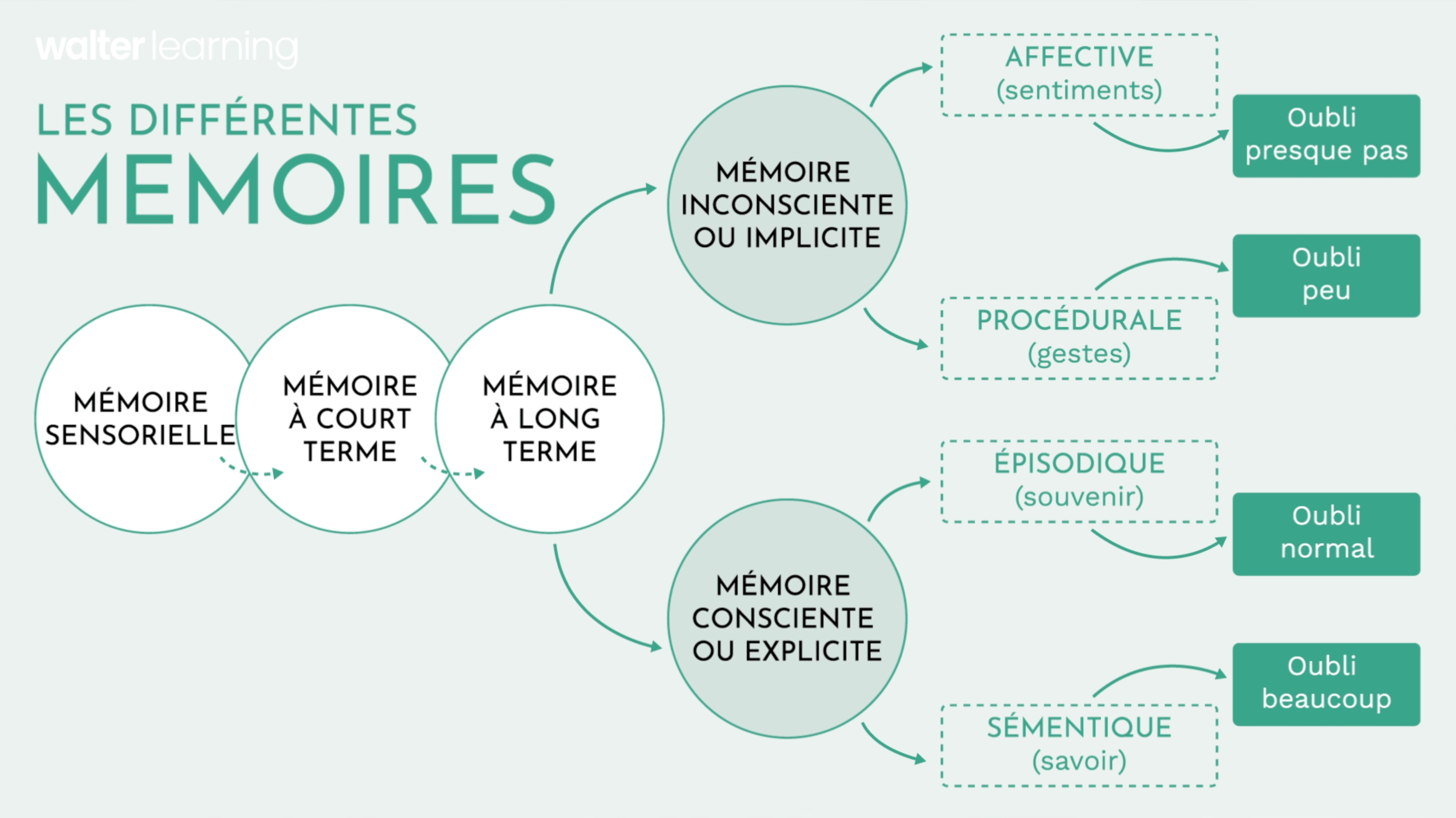 Protecteur De Cordage Pour Raquettes – Économiseurs De Croisement Tennis, Badminton, Squash | Améliore Le Contrôle Et La Durée De Vie